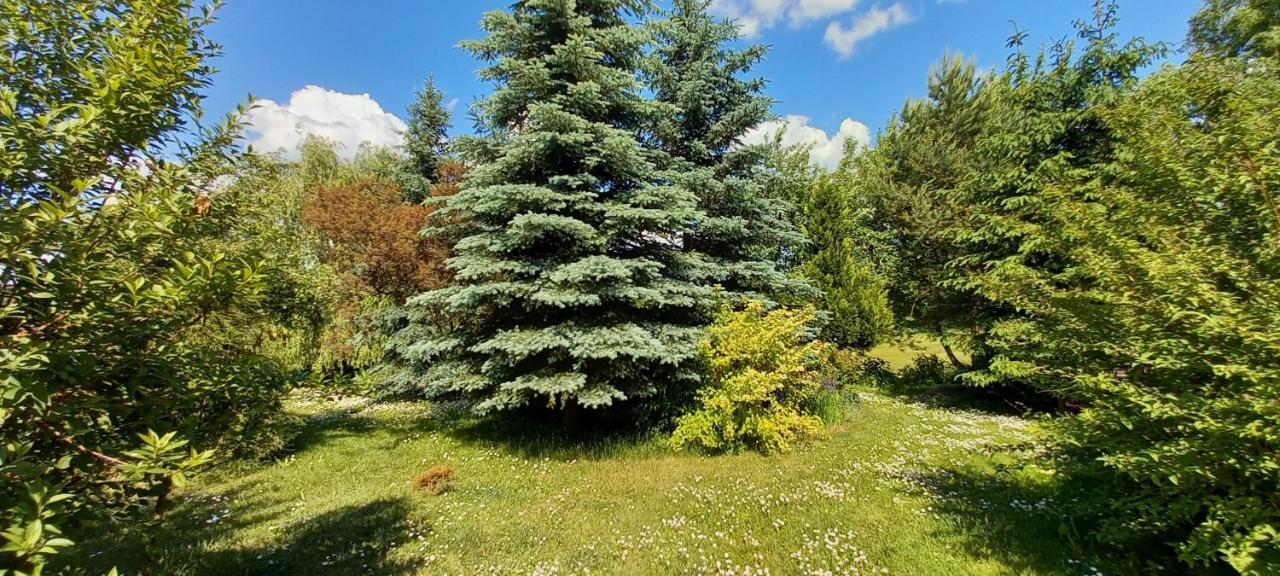 Dom Goscinny Lerka - 240 M2 Mazury Jeziora Lasy Lakorz Ngoại thất bức ảnh