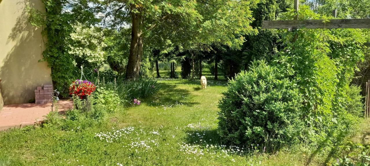 Dom Goscinny Lerka - 240 M2 Mazury Jeziora Lasy Lakorz Ngoại thất bức ảnh